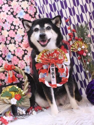 20250130ひめちゃん